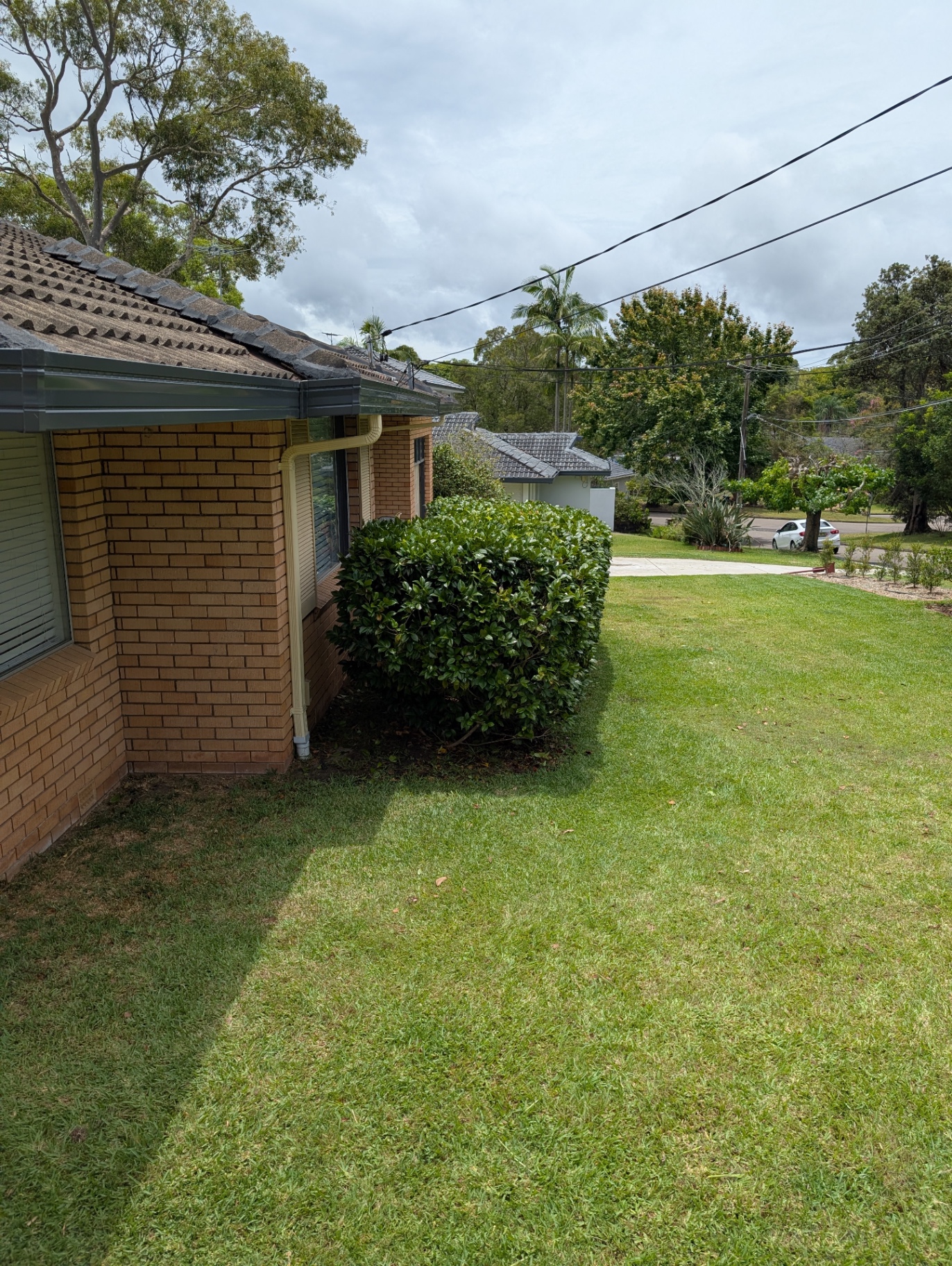 Hedge & Frontage