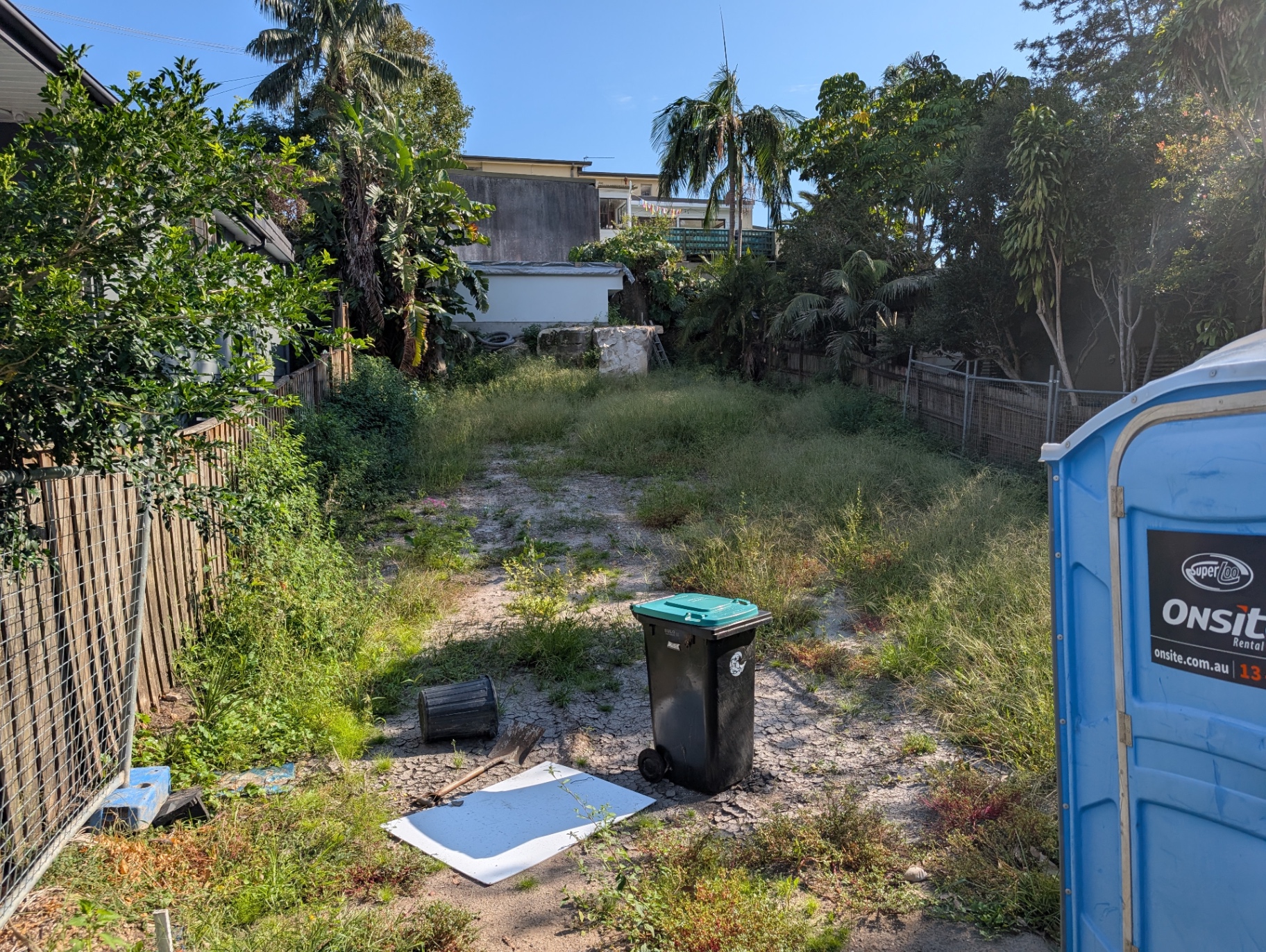 Overgrown backyard before Waterhouse Landscapes clean-up